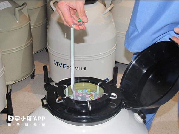 冷凍胚胎管數越多費用越貴