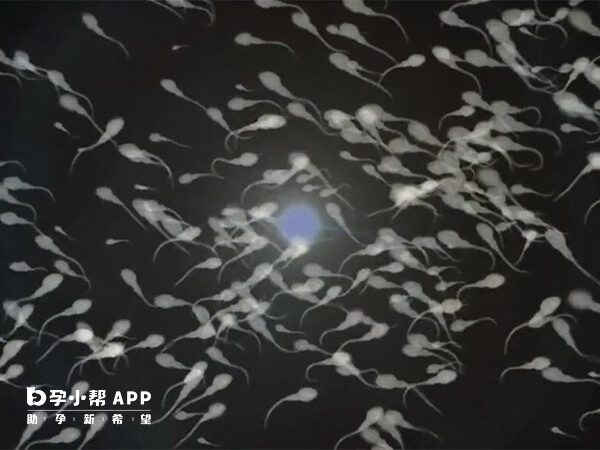唐都醫院申請供精需要有相關適應症