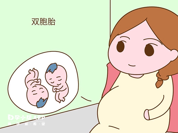 試管雙胞胎機率比自然受孕大
