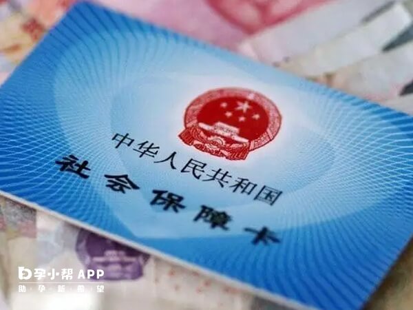 试管费用不能报销