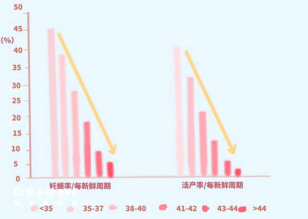 年龄越大试管一次性成功率越低