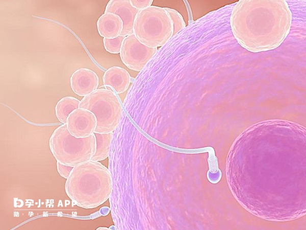 我國對輔助生殖技術有非常嚴苛的要求