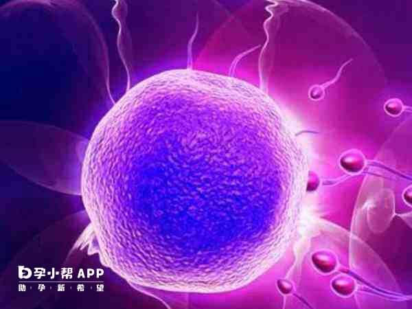 我國嚴禁卵子買賣