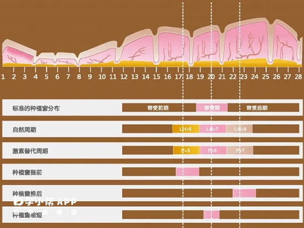 试管移植窗口期与内膜情况有关