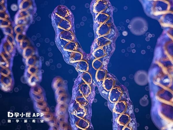 染色體平衡易位包括羅氏易位