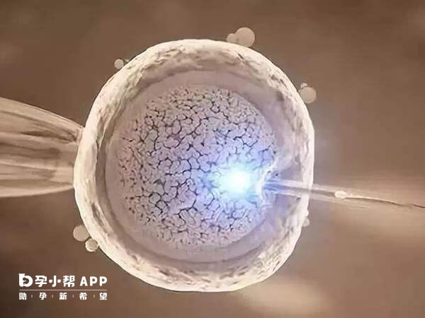 揭陽鄰市醫院可以供卵