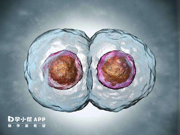 3代试管配成过程中会损耗卵泡