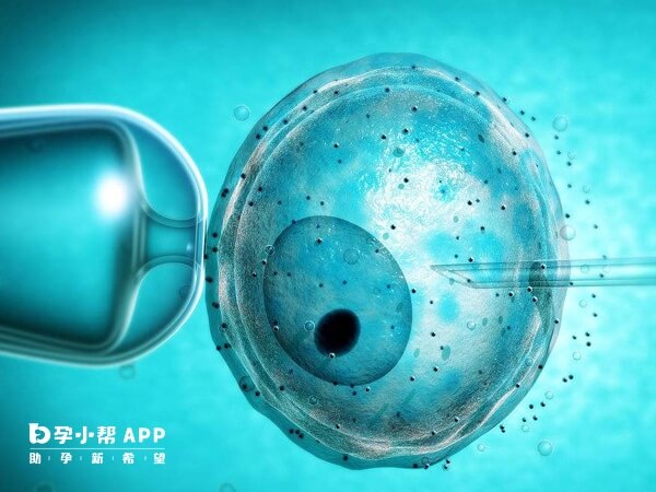 三代試管有pgd和pgs之分