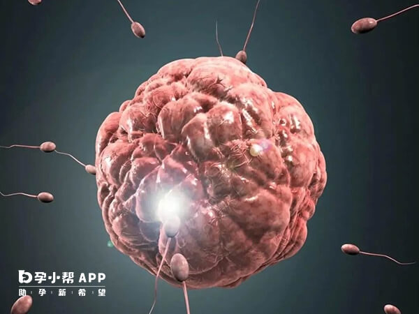 廣州正規醫院供卵都需要等