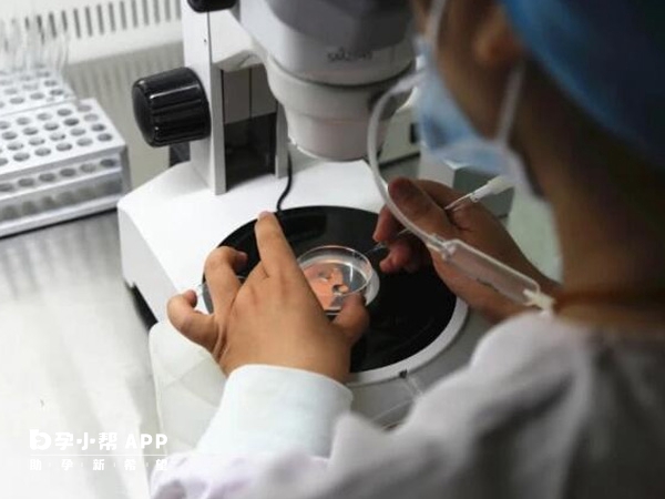 一代二代試管精卵授精方式不同