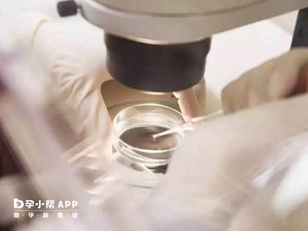 胚胎培養是試管嬰兒的關鍵步驟