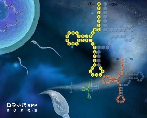 精子碎片率高不建议做试管