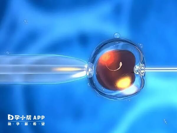 泉州只有2家做二代試管的醫院