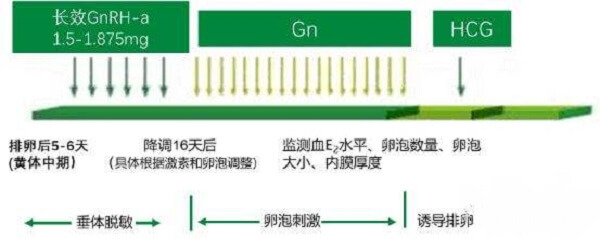 试管黄体期用药流程