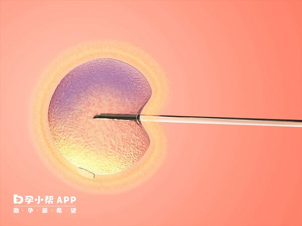 二代试管移植后着床时间一般是5-7天