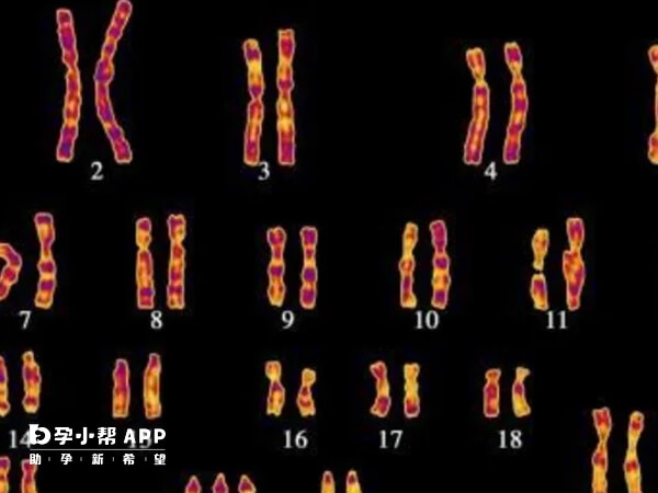 高龄患者胚胎染色体异常的概率偏高