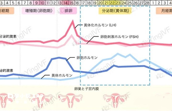 试管黄体期促排方案成功率高低根据孕妇自身情况决定