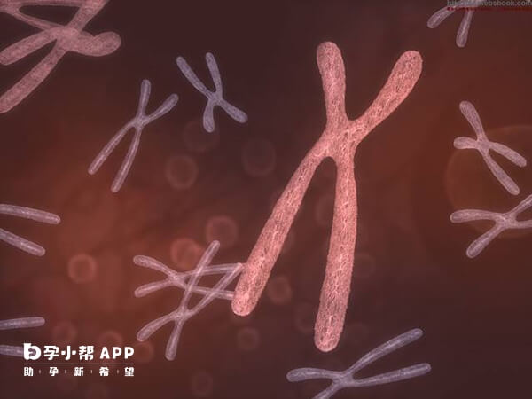 染色體異常會導致試管多次移植失敗