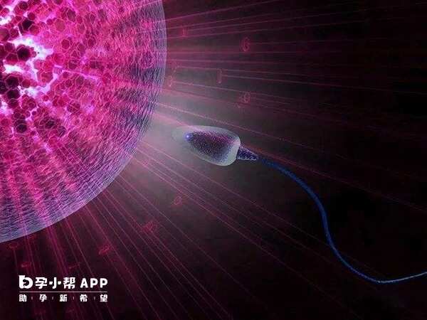 et技術在我國起步晚