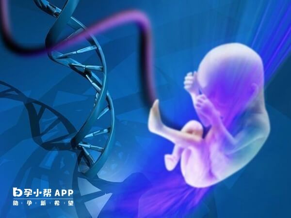 國內法律規定做試管不允許選擇胎兒性別