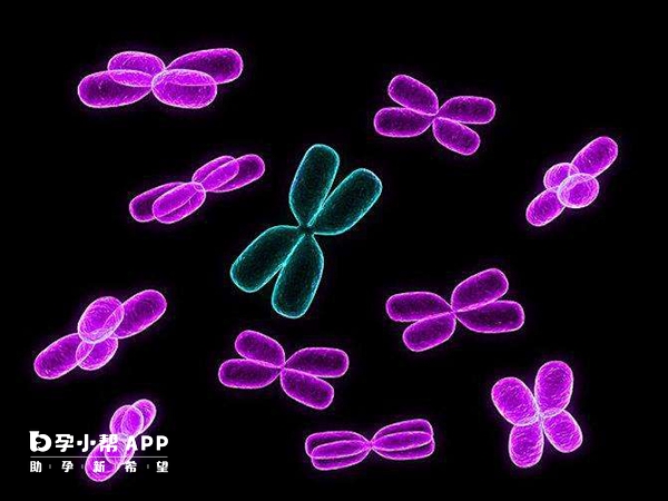 试管前做染色体检查是为了保证试管成功率