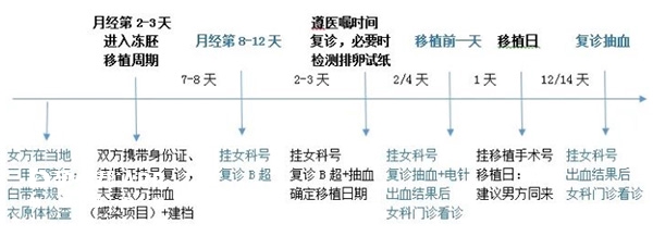 自然周期方案移植冻胚步骤