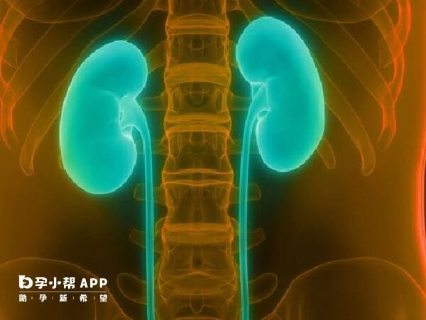 兒童腎積水一般不用特殊治療