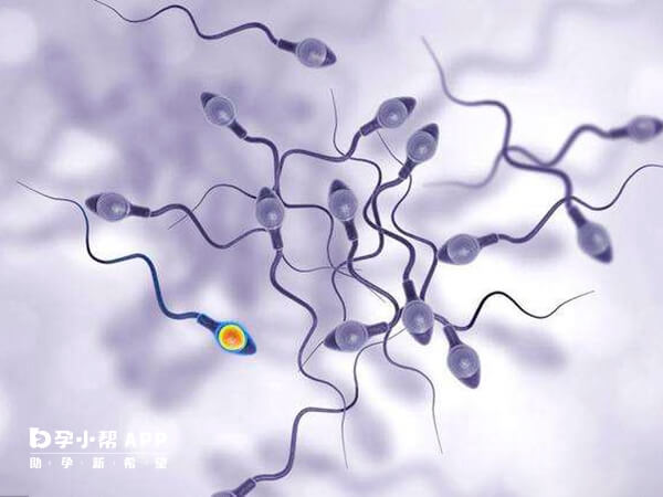 申請供精需要3500元左右