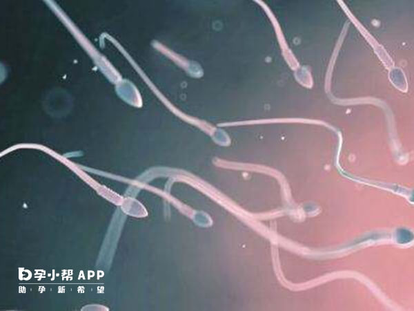 人授成功率與自然懷孕相差不大