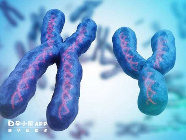 三倍體比正常二倍體多了一套單倍體染色體