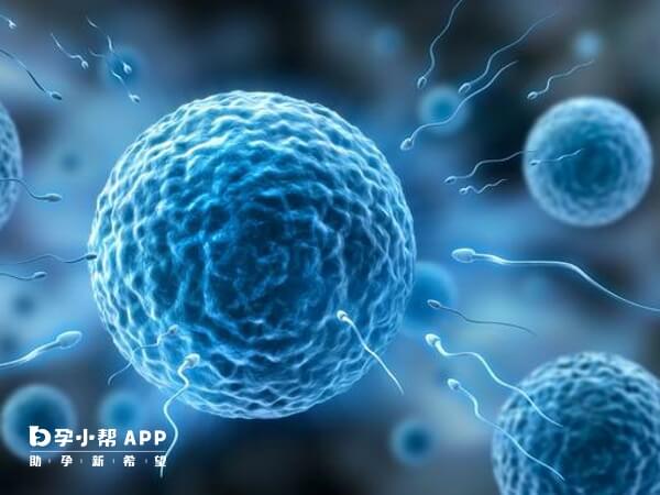 hiv做试管洗精费用大概是1000人民币左右,