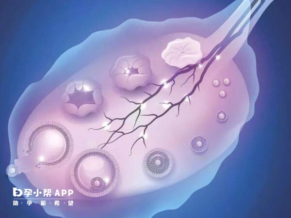 短方案促排针要打8天