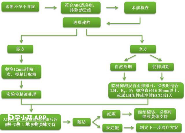 供精人工授精流程