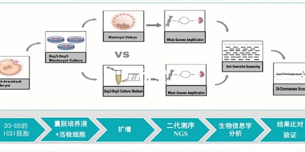 nics技术与三代技术流程区别