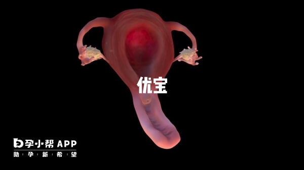 單角子宮患者做試管成功率比較低