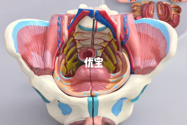 POR表示卵巢低反应