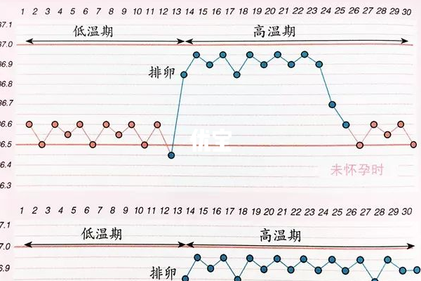 怀孕基础体温测曲线图