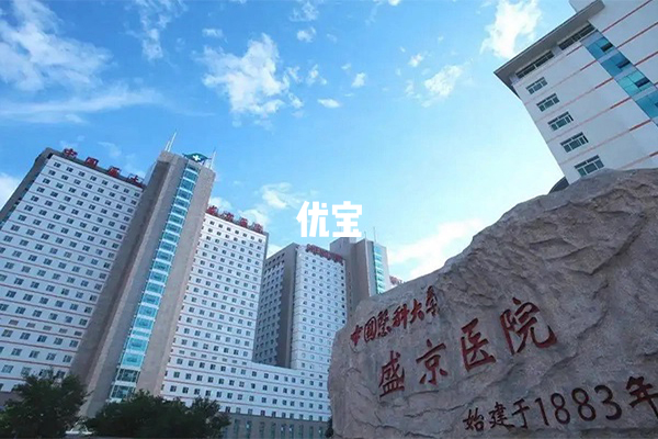 中国医科大学附属盛京医院