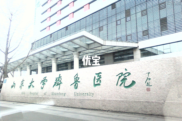 山东大学齐鲁医院