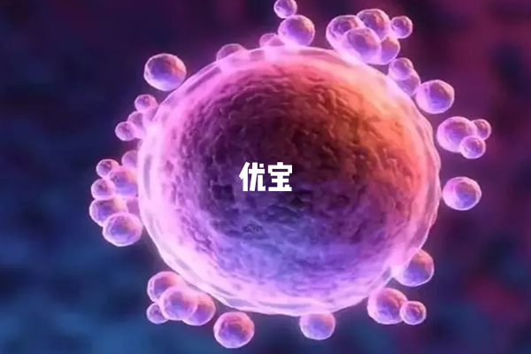 卵母細胞老化可能導致養囊失敗