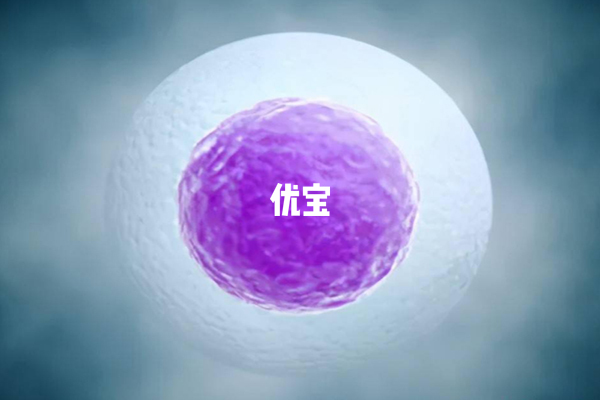 6個胚胎養囊的成功率還是比較大的