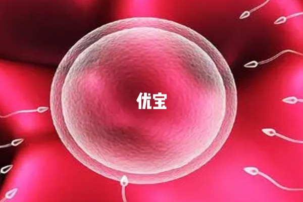 8個胚胎養囊能成功幾個沒有固定標準