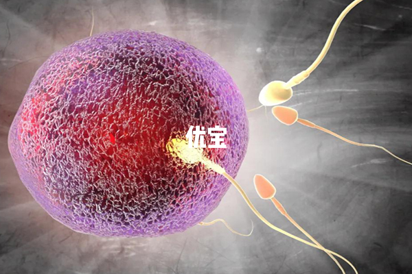 4CC囊胚移植后几天着床没有定论