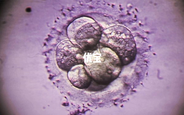 囊胚5cb质量不算高