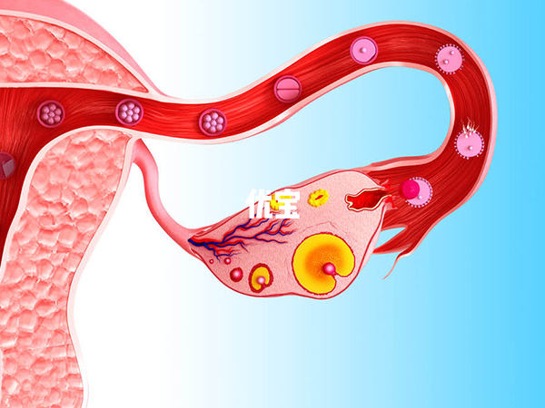 子宫内膜0.5试管成功率影响因素多