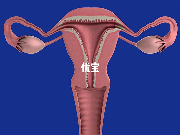 子宫内膜3.5mm不能移植