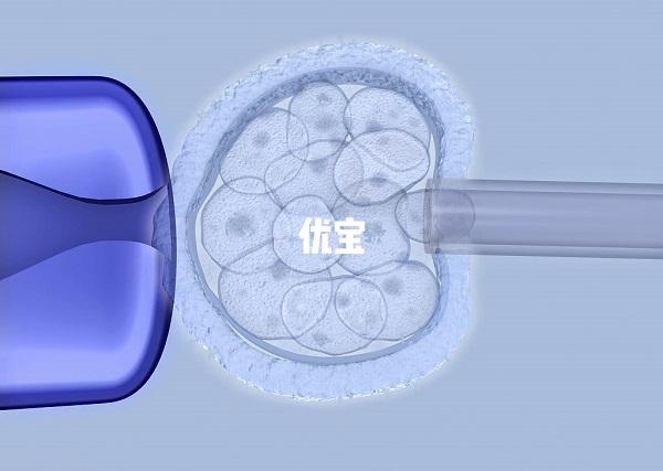 6cb囊胚成功率不算高