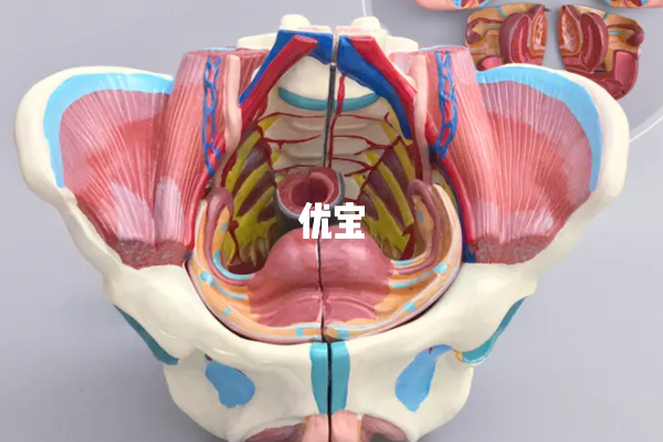 内膜20mm治疗之后移植也能成功