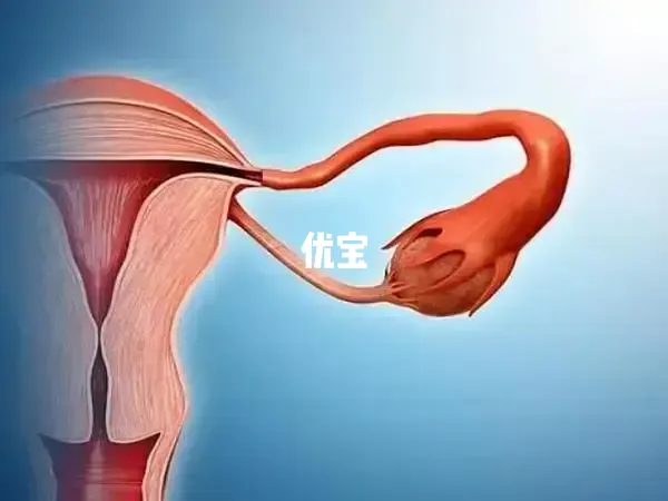 子宫内膜19试管成功率很低