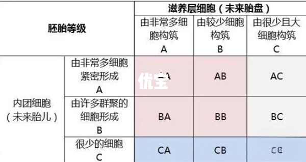 三天胚胎等级一览表